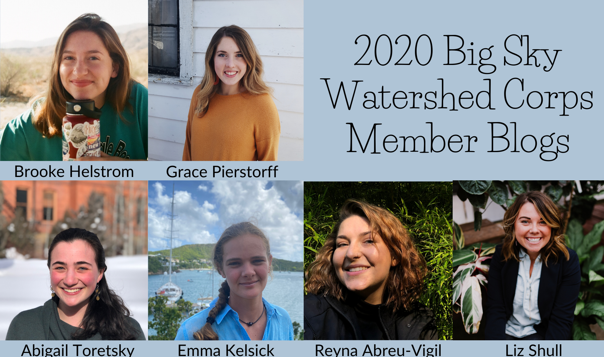 2020 BSWC blogs
