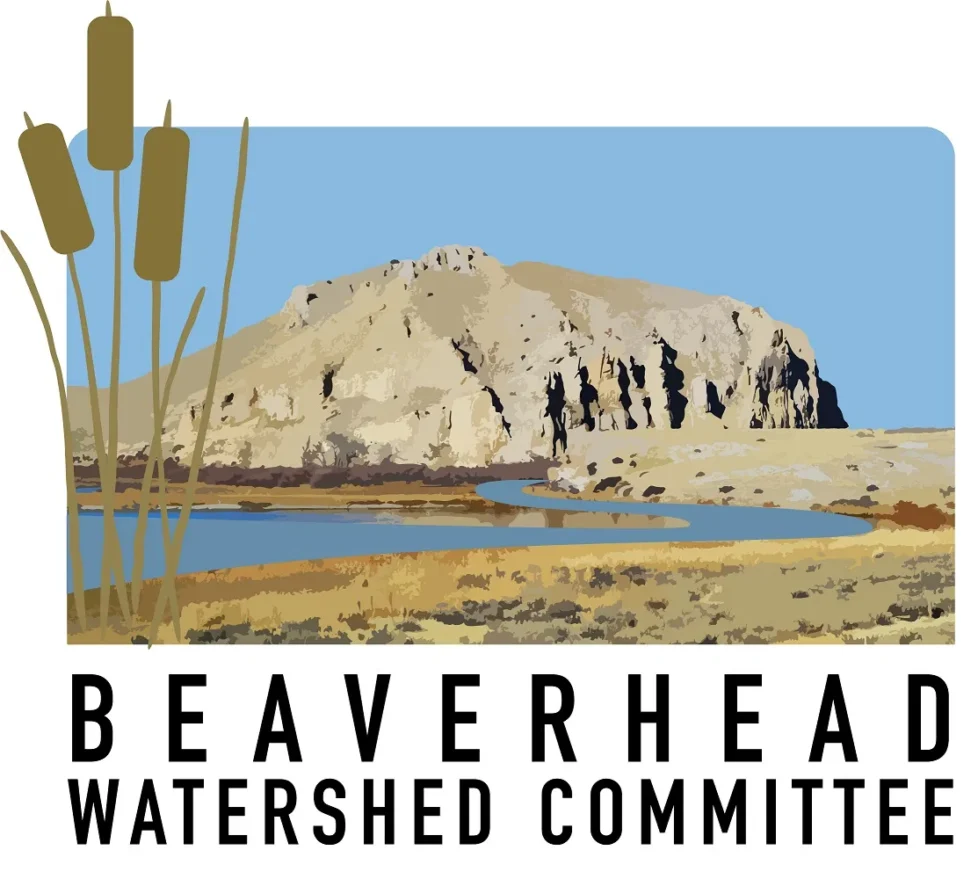 BWC-Logo2-1