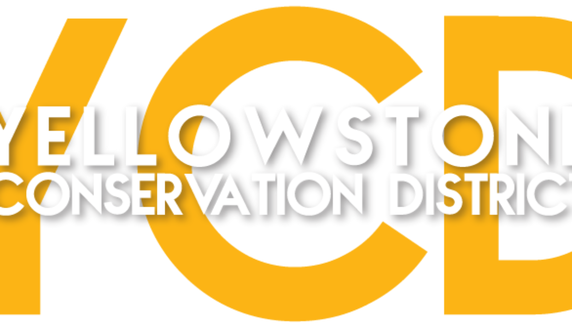 Yellowstone CD logo