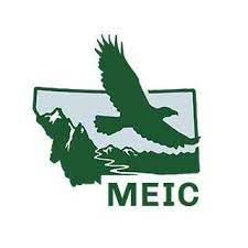 meic logo