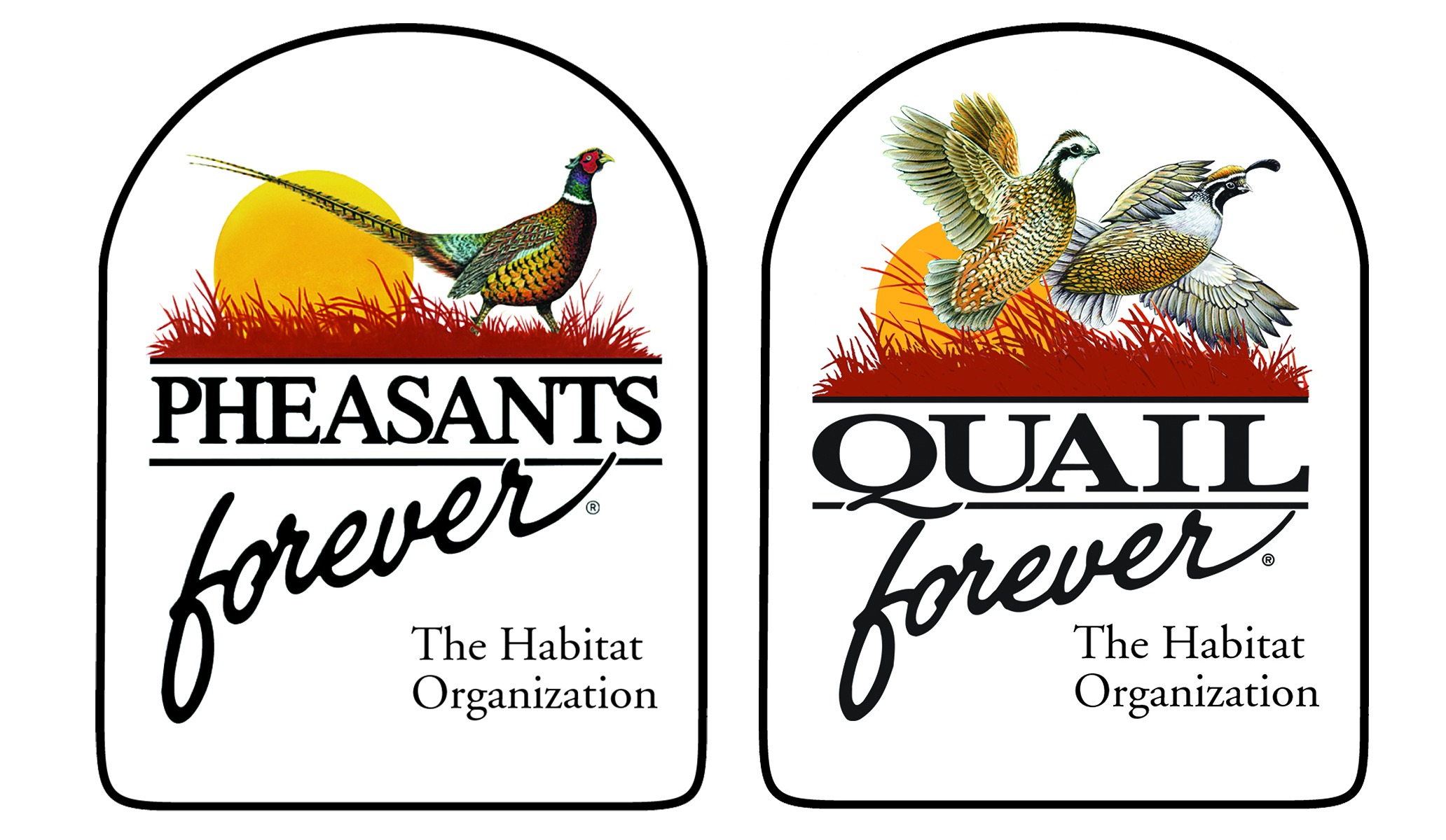 pheasants and quail forever logo pheasants and quail forever logo