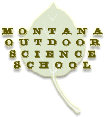 Montana Outdoor Science School moss Montana Outdoor Science School moss