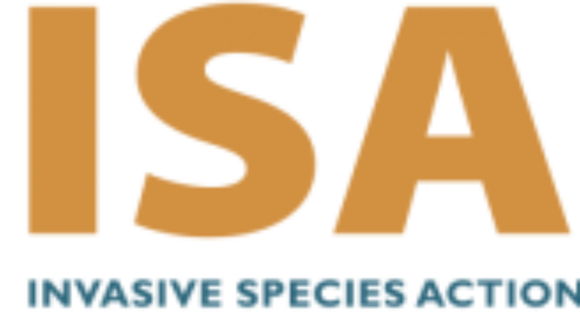 ISAN-logo-transparent-background-e1547830934570-300x94