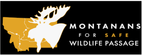 Montanans for safe wildlife passage Mfswp Montanans for safe wildlife passage Mfswp