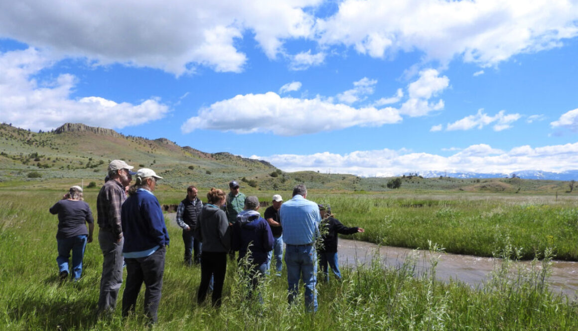Group of people standing by a river in a field of grass.