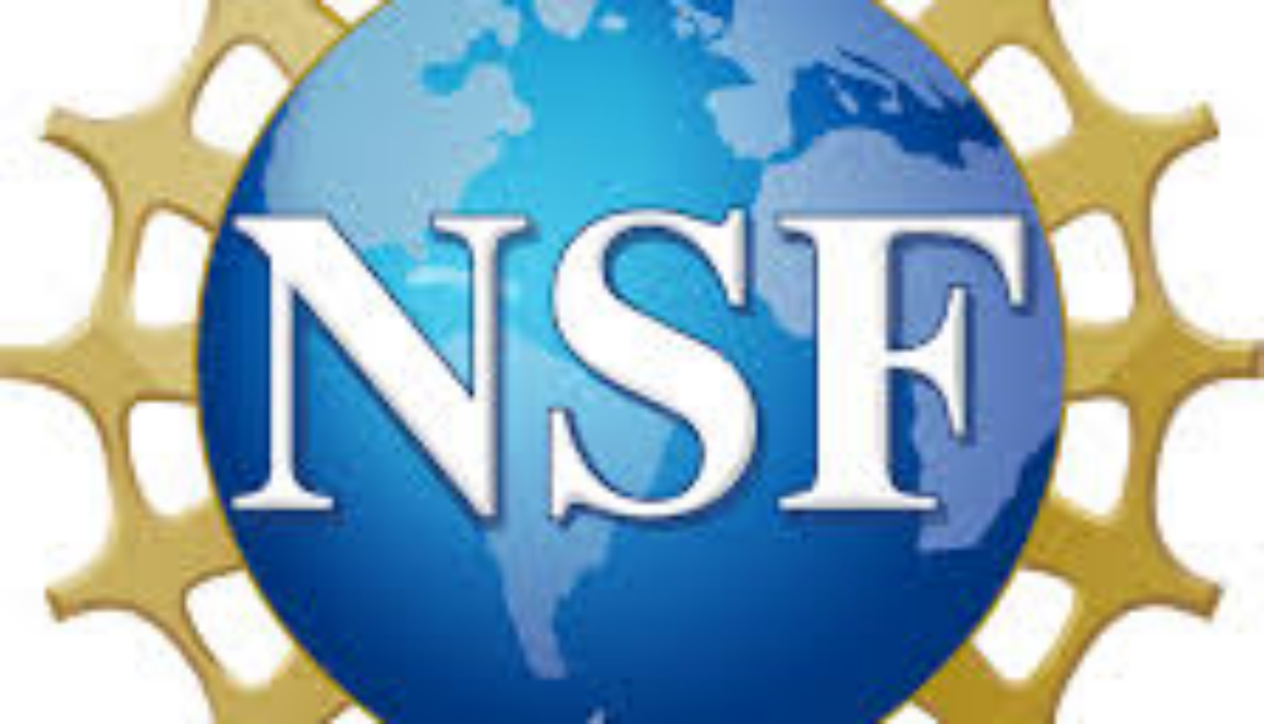 NSF logo